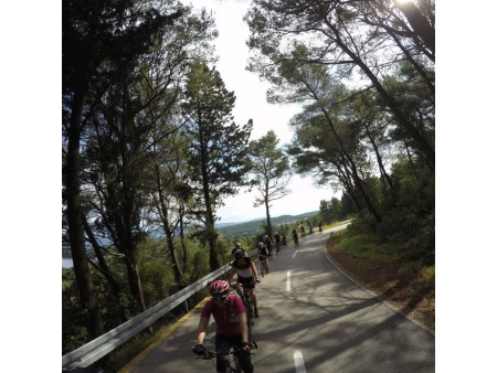 Kolesarsko križarjenje po Dalmaciji