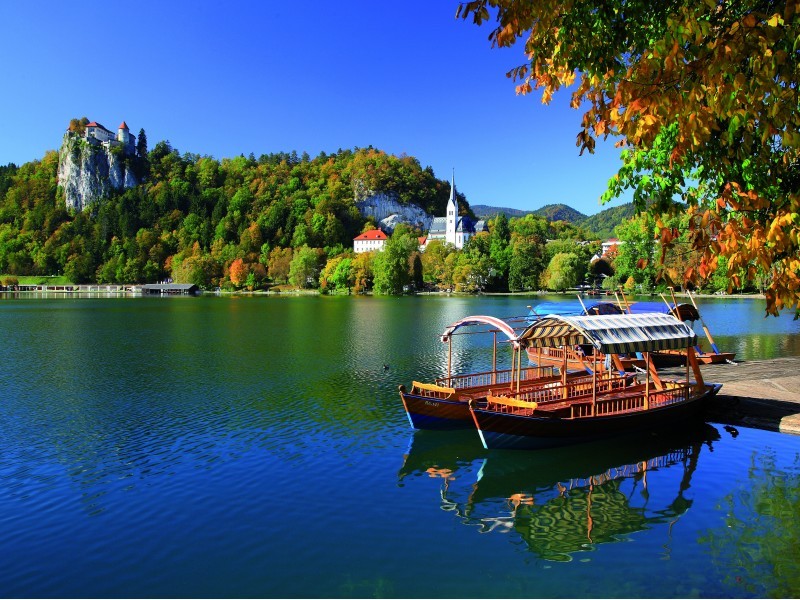 Bled lake and pletna boat