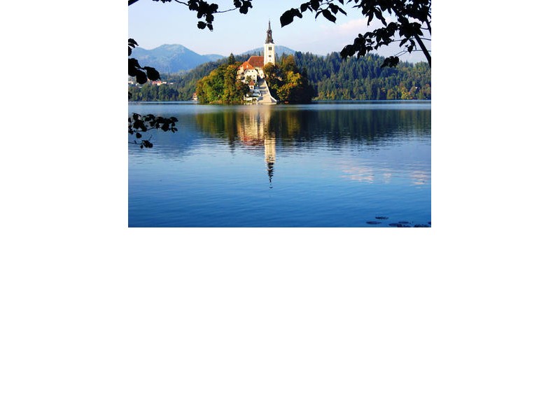 Mirror in Bled lake's water
