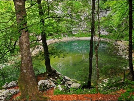 Divje jezero and the shortest river