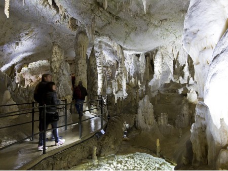 tourist attraction in Postojna