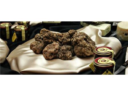 tartufi