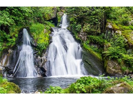 schwarzwald, titisee, ura s kukavico