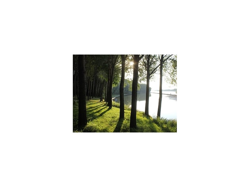 Dusan-Tizic-Banatska-Palanka