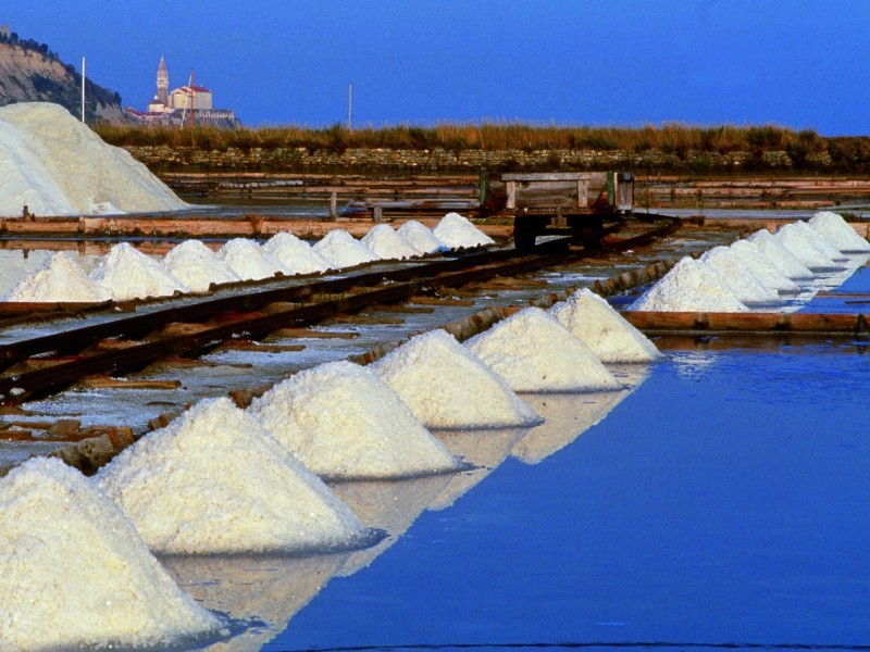 salt fields Portorož
