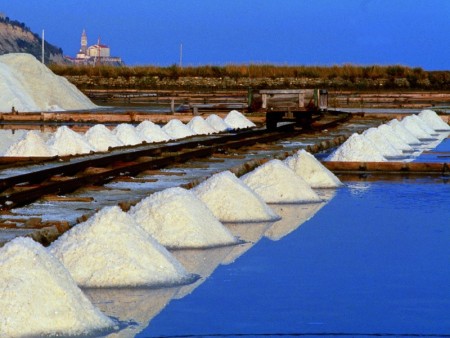salt fields Portorož
