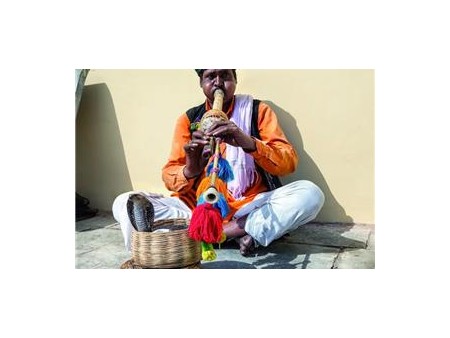 Potovanje Indija in Zlati trikotnik