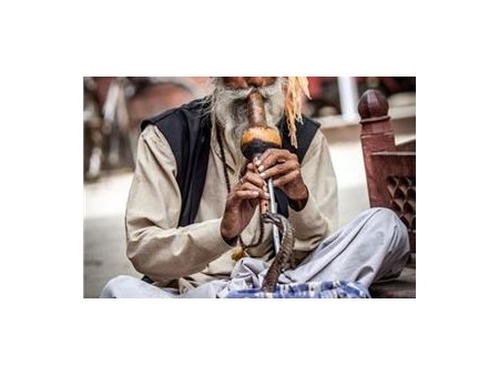 Potovanje Indija in Zlati trikotnik