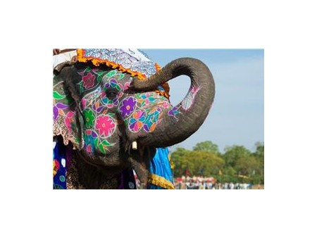 Potovanje Indija in Zlati trikotnik