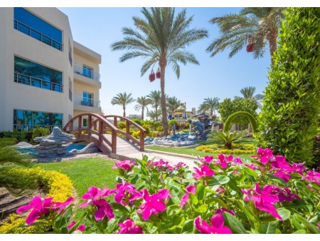 Seagull Resort - rože in mostiček