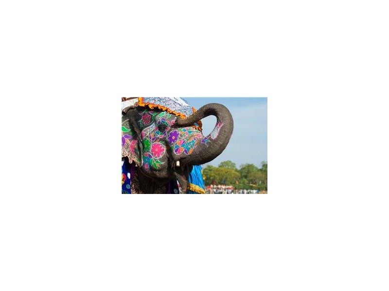 Potovanje Indija in Zlati trikotnik