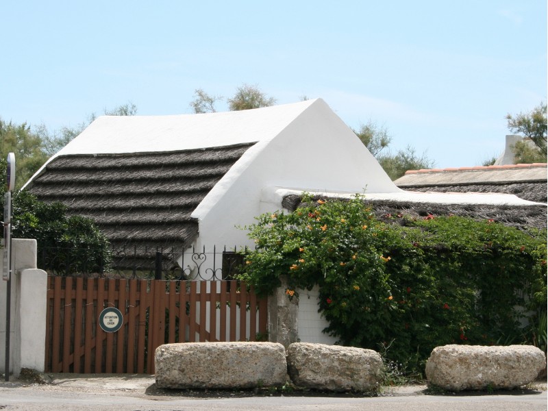 Značilna hiša v Cammargue