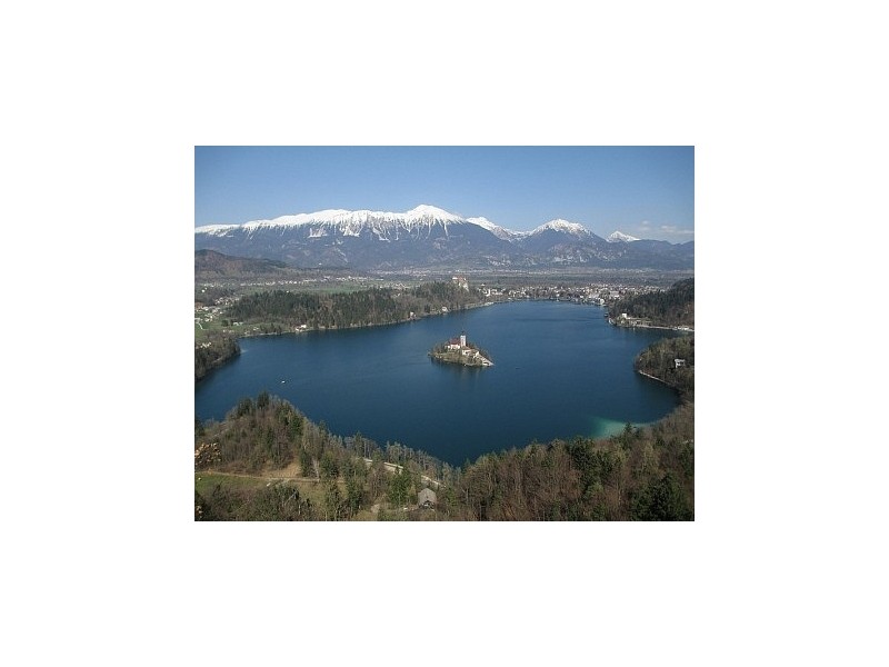 Bled from above