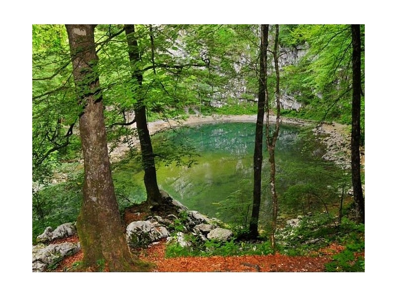 Divje jezero and the shortest river