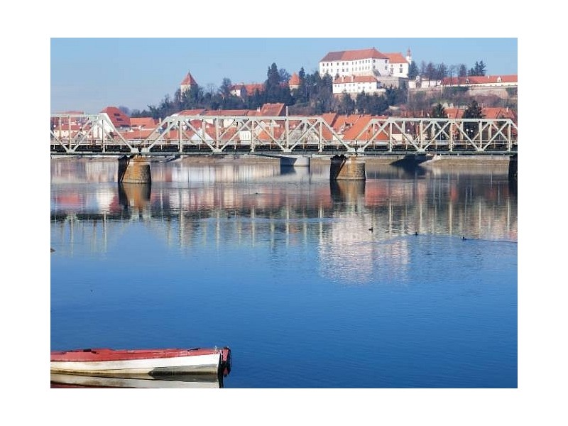 Ptuj with a castle