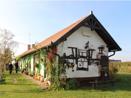 Etnološke zbirke in pogostitve