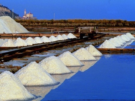 Unique Salines of Portorož