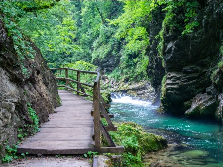 Bled Vintgar gorge