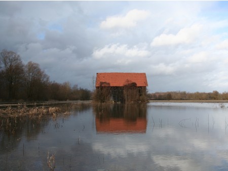 flooded countrysite