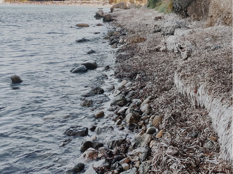 otok Zakintos, mirna plaža