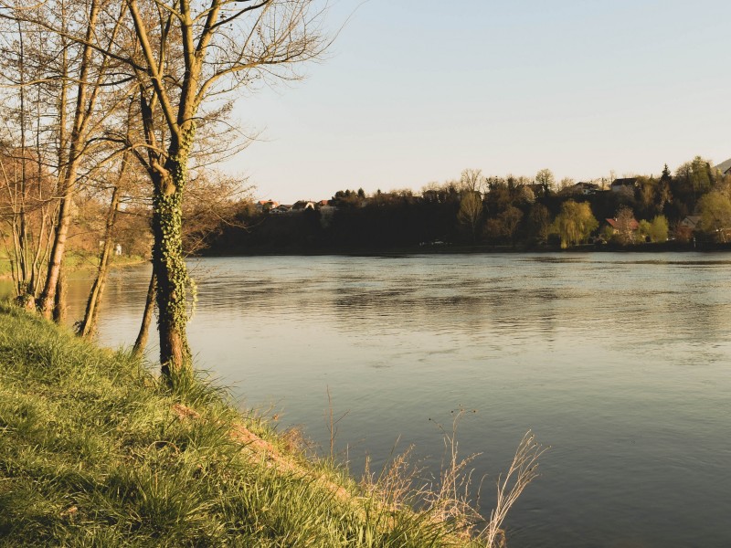 Drava pri Mariboru