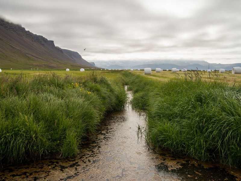 ditches enable men to use the nearby land