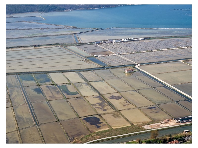 Saline fields Sečovlje